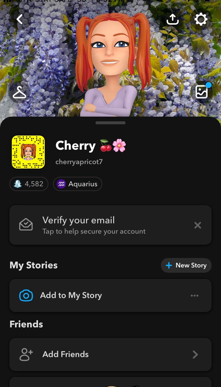 ADD UP SNAP FOR EROTIC FUN (cherryapricot7)