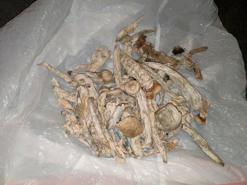 DOWN FOR FUN AND SELL DRUG 👅 !!! 💦💦💦💦🍆🍆🍆 🍆👅👅 👅💦💦💦💦🍆🍆🍆