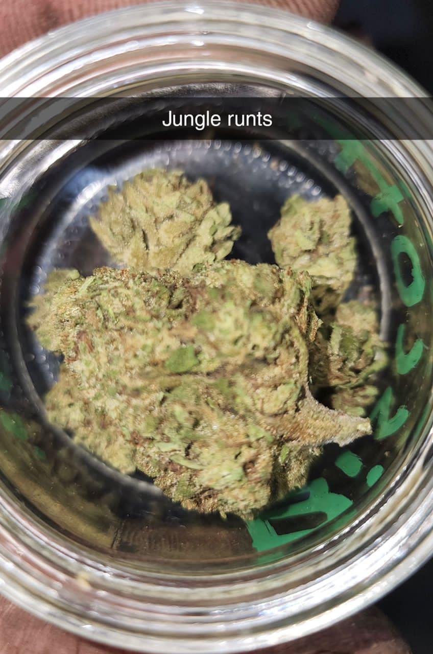 HOOKUP SEX SND SELL DRUGS 💦💦💦