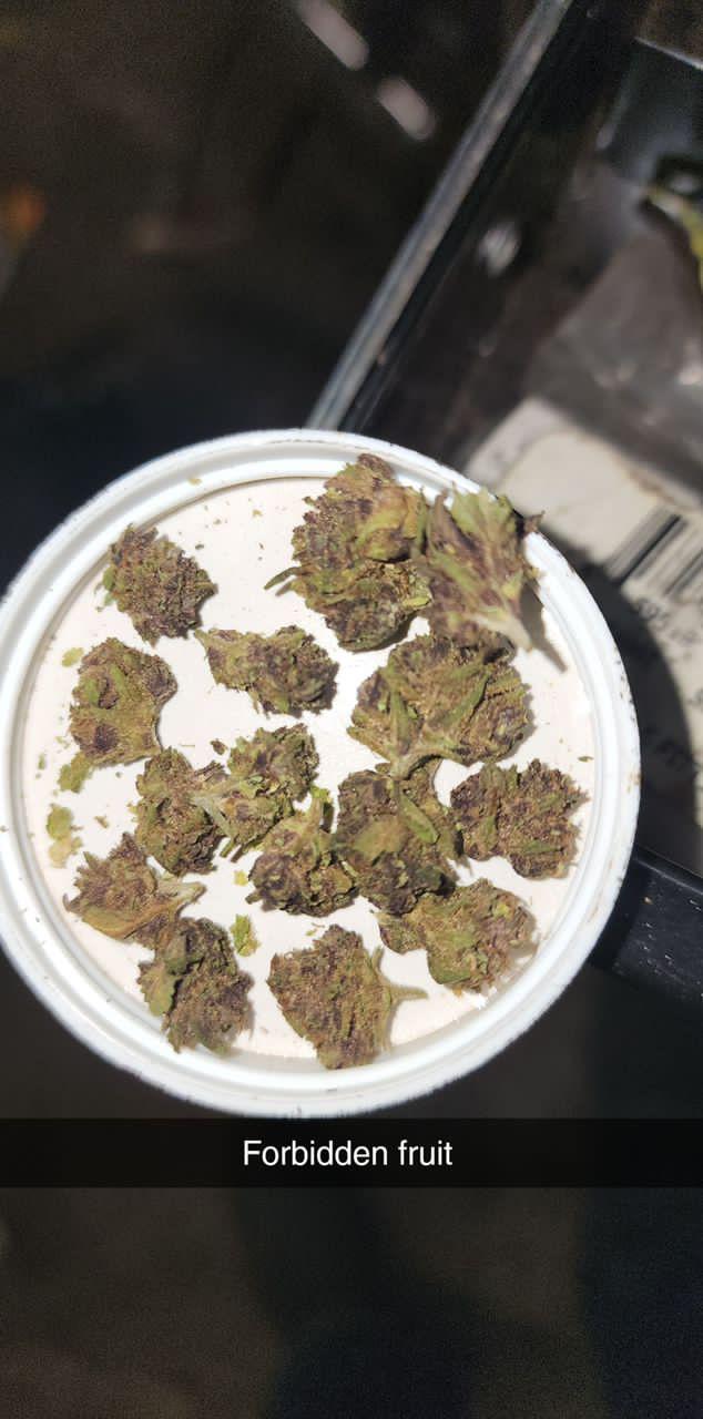 HOOKUP SEX SND SELL DRUGS 💦💦💦