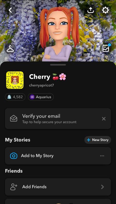 ADD UP SNAP FOR EROTIC FUN (cherryapricot7)